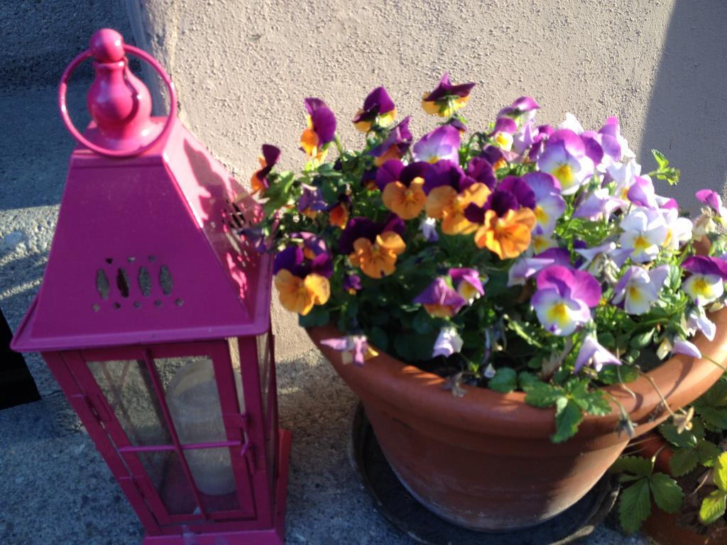 B&B La Vie En Rose Basel Bagian luar foto