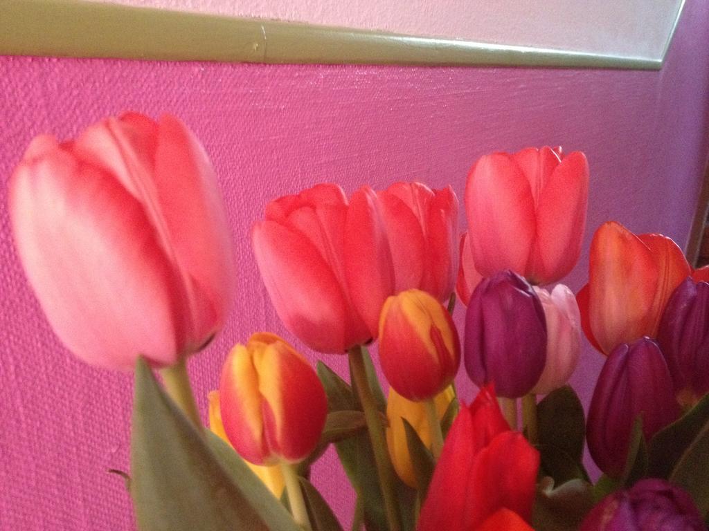 B&B La Vie En Rose Basel Bagian luar foto
