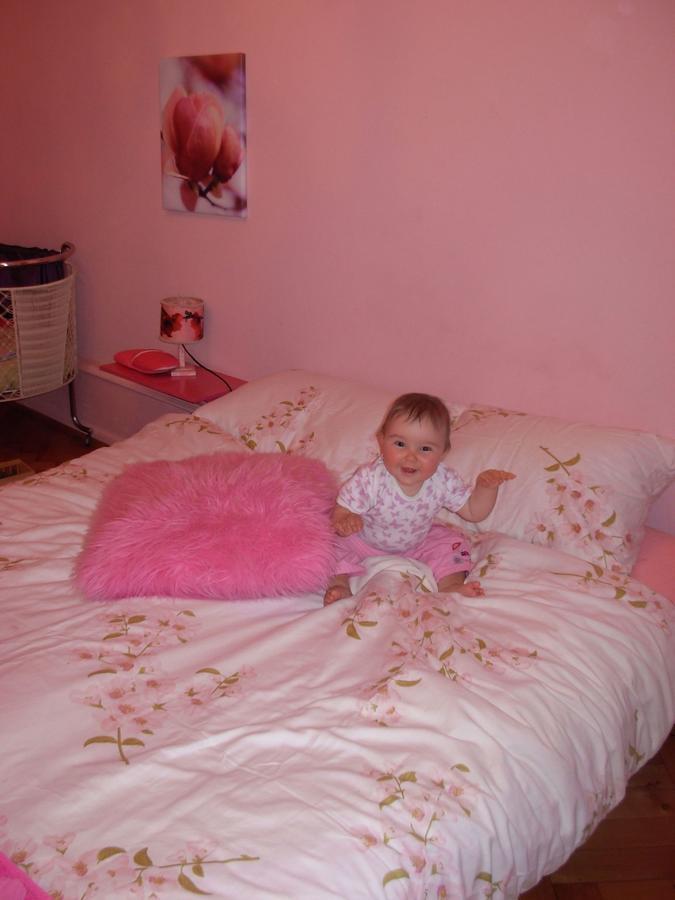 B&B La Vie En Rose Basel Bagian luar foto